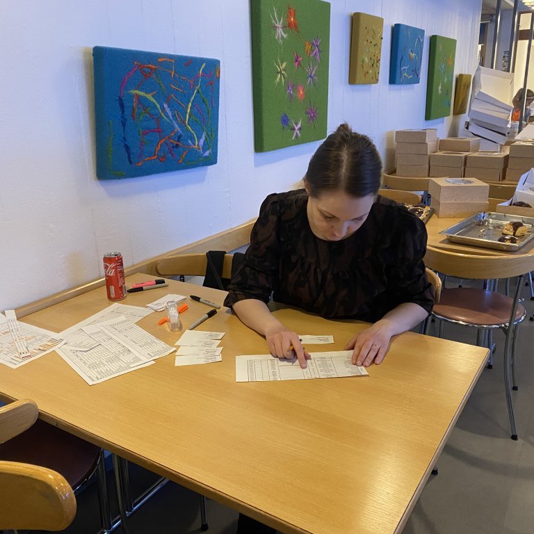 Kristrún í Dæli rennir yfir bókhaldið