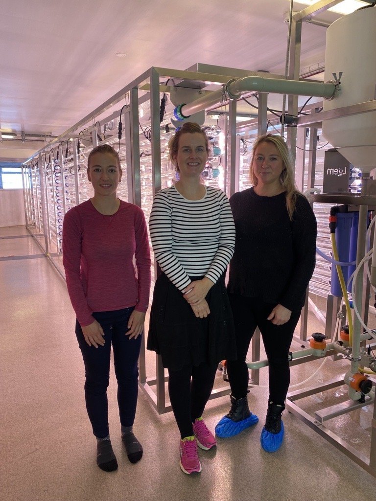 Lucie Tavan, Júlía Katrín Björke og Dagbjört Inga Hafliðadóttir