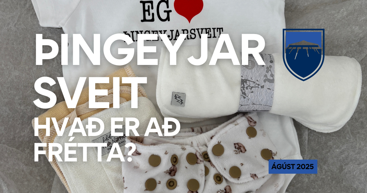 Fréttabréf ágústmánaðar