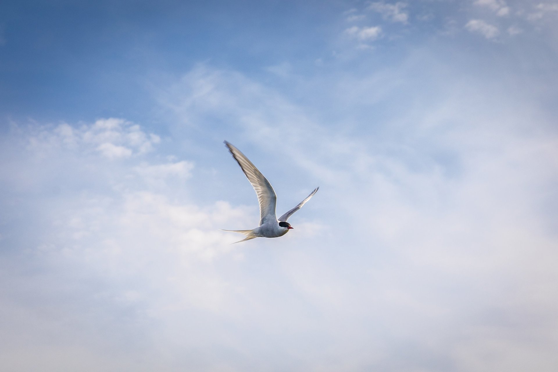 Félagsstarf aldraðra í nóvember og desember