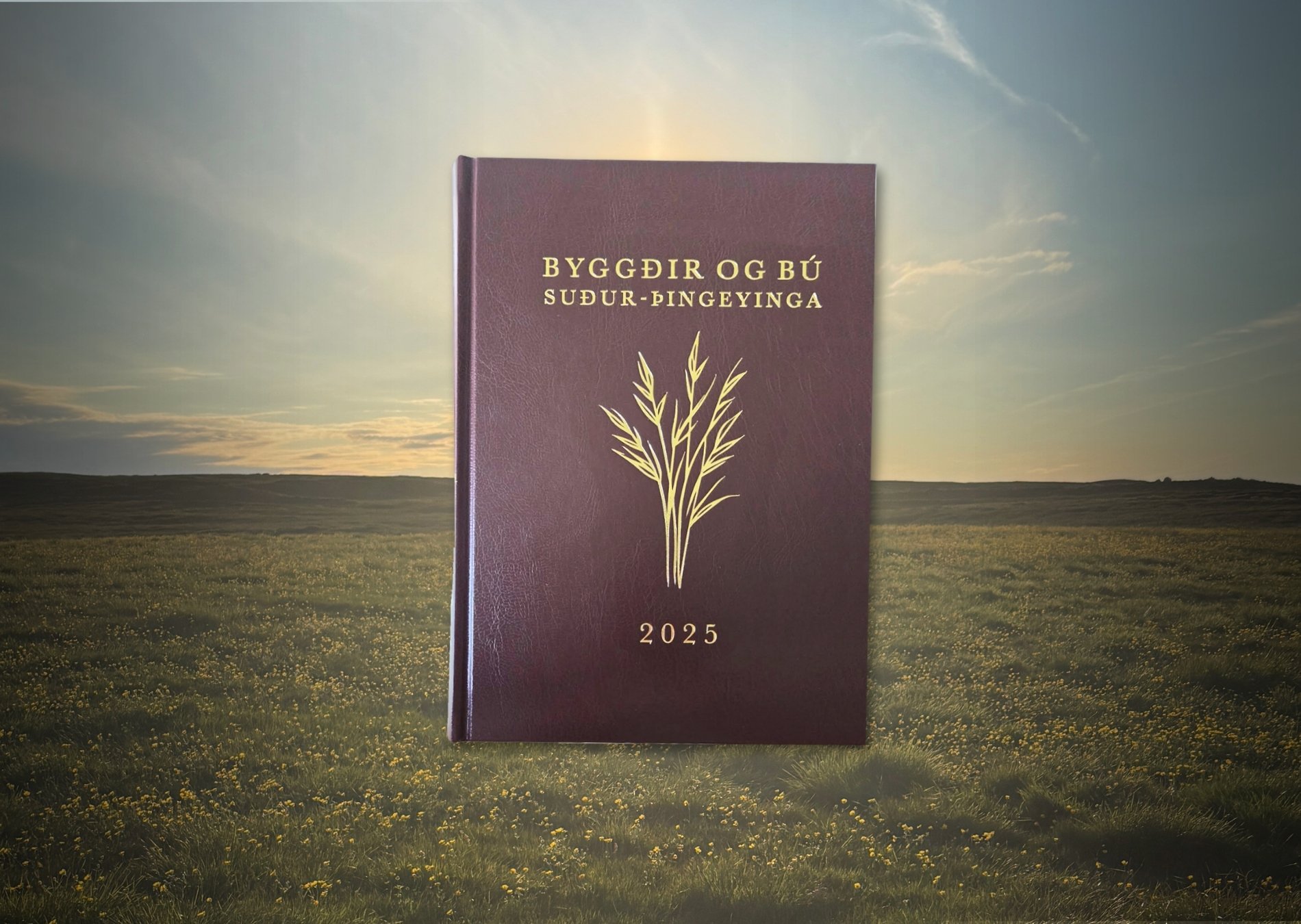 Byggðir og bú Suður-Þingeyinga: Útgáfuhóf 17. september