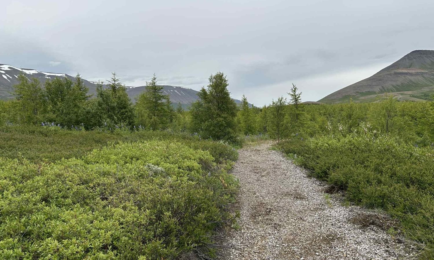 Störf við heimaþjónustu í Aðaldal og Fnjóskadal