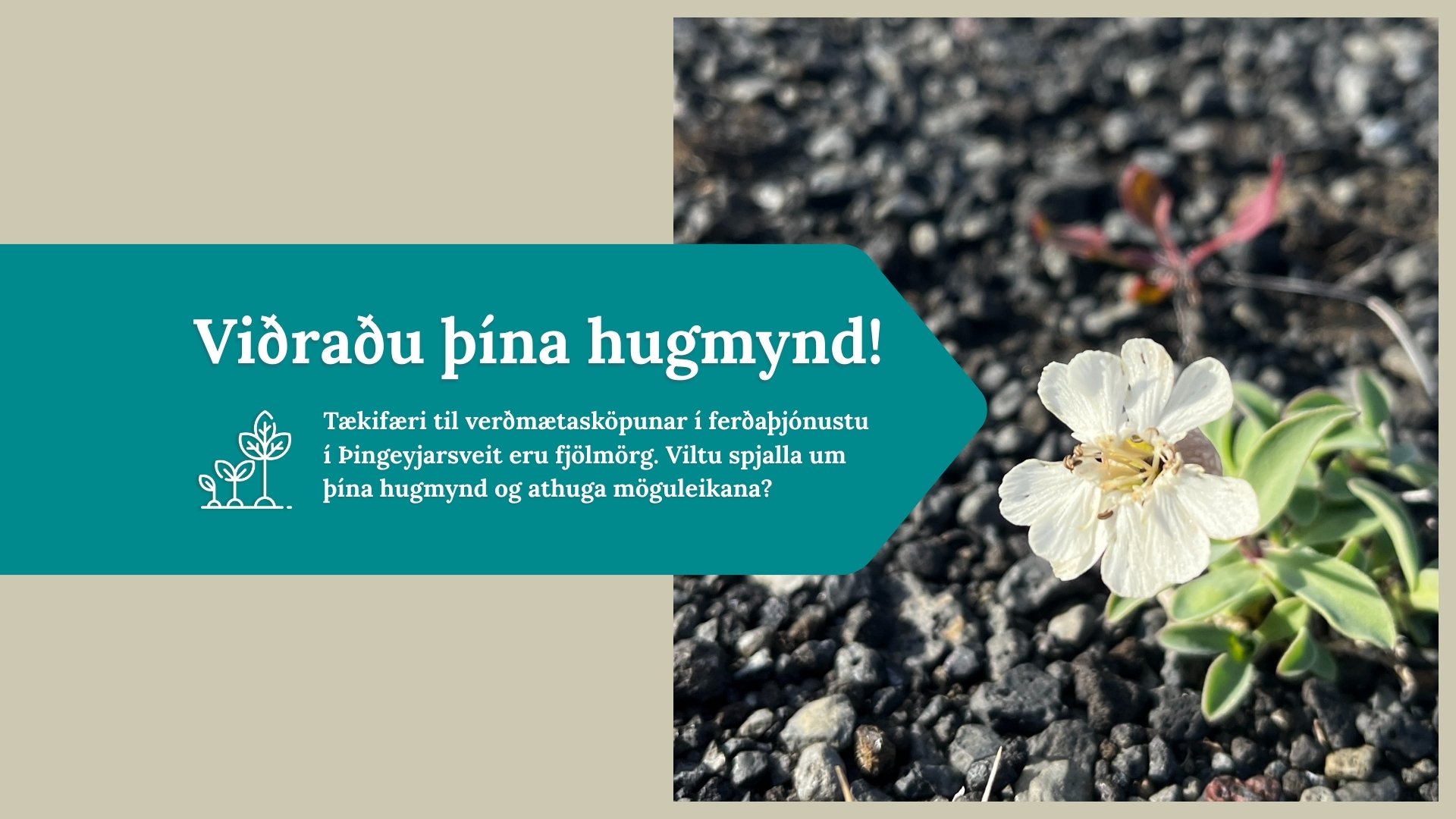 Ertu með hugmynd að ferðaþjónustu?