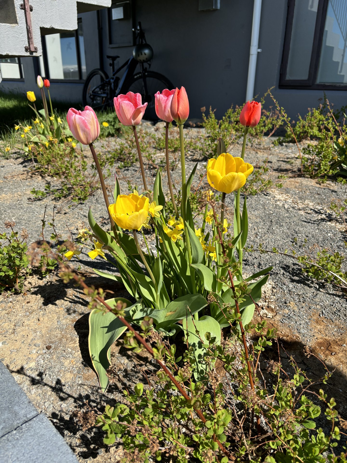 Sumarið er komið!
