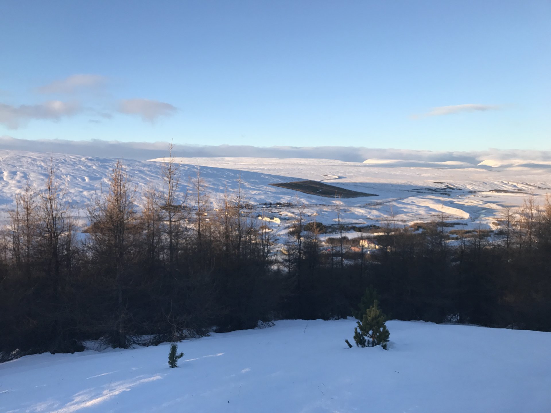 295. fundur sveitarstjórnar Þingeyjarsveitar