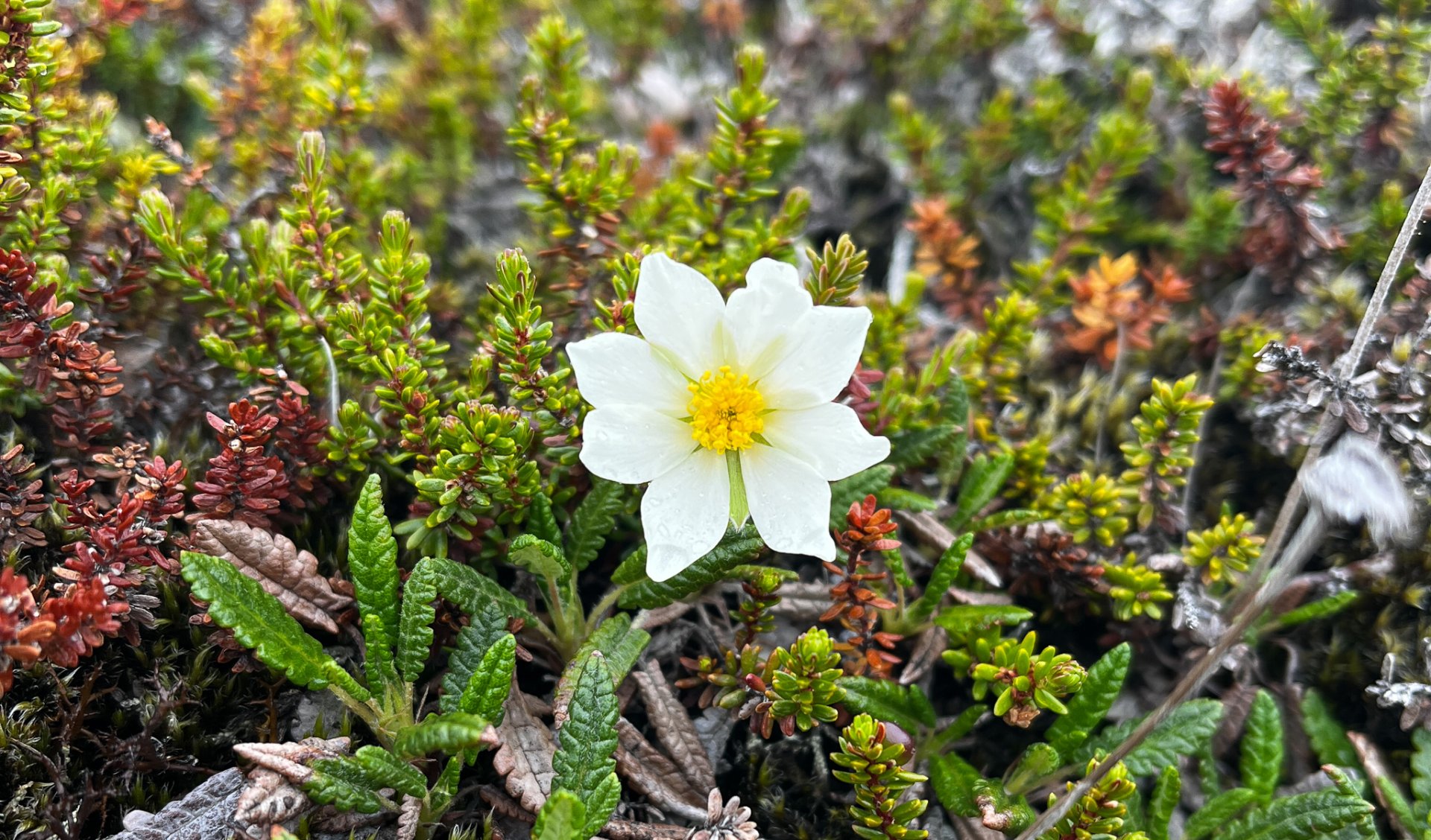Veist þú um faldar perlur í Þingeyjarsveit?