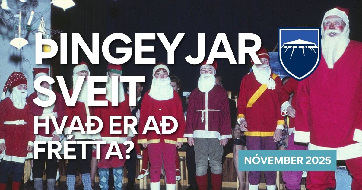 Fréttabréf nóvembermánaðar!
